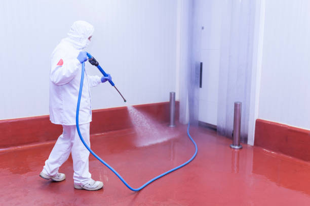 Best Concrete Sealing  in Corinth, MS
